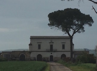 Tenuta-latifondo dello Alvano (masserie Marchesa-Camadoro-Correja-Boreano), sito in Lavello, Cerignola, Venosa, appartenuto al Principe Caracciolo e poi a Vito Nicola e Riccardo Porro; passo' infine agli eredi Ceci Ginistrelli