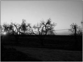 Tenuta-latifondo de' Le Monachelle in Barletta confine con Andria, del fu Francescopaolo Porro