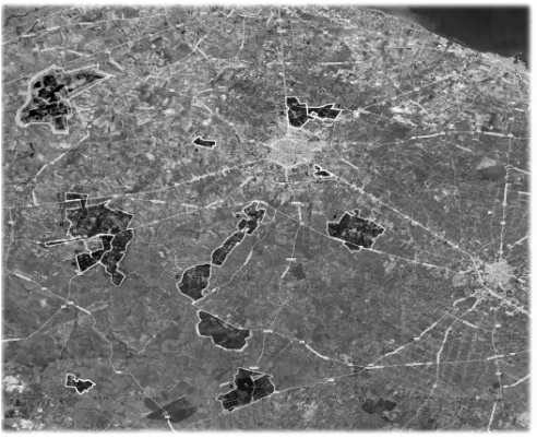 Mappa estratta da google sulla estensione di alcuni tra i maggiori latifondi Porro di Andria; trasposti da originali piante topografiche ed in proporzione